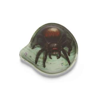 LED Kletties Spinne